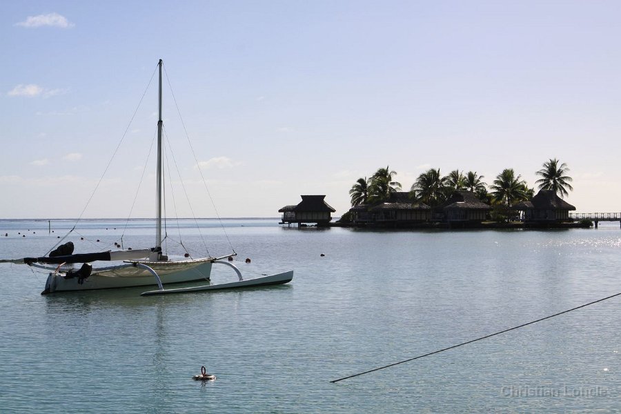 0232 IMG 2137 Moorea