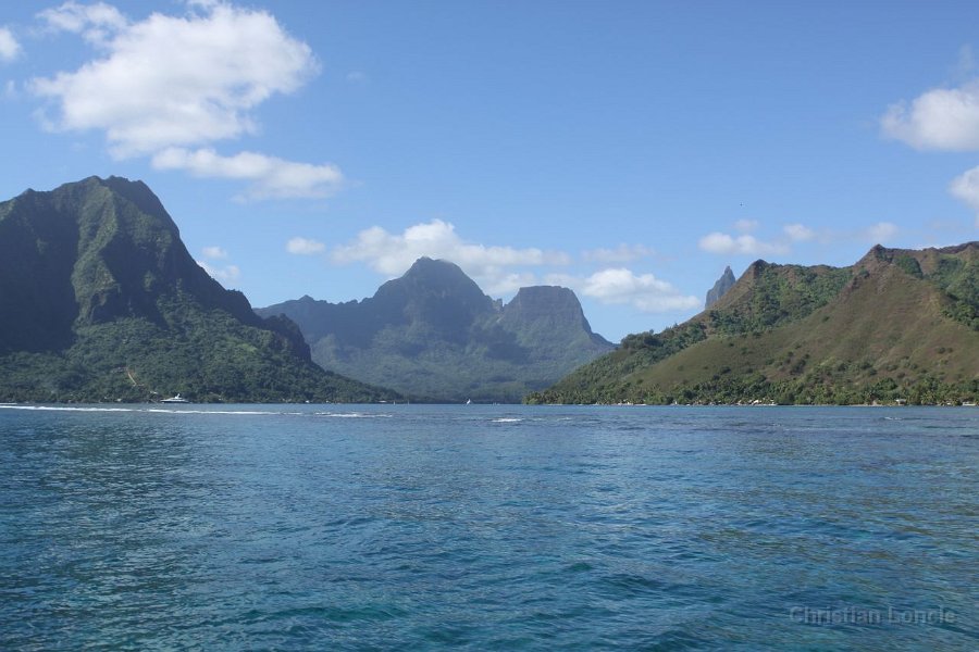 0236 IMG 2138 Moorea
