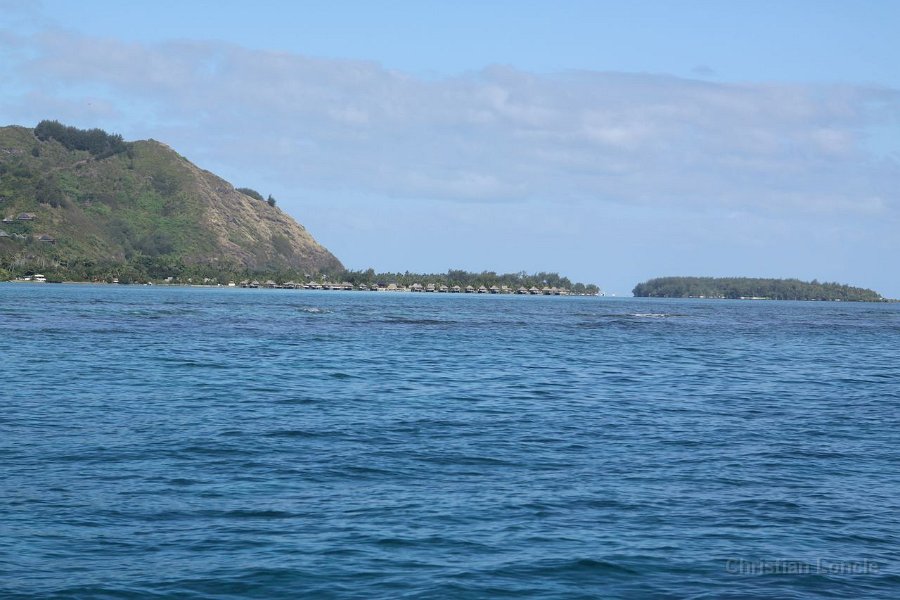 0237 IMG 2139 Moorea