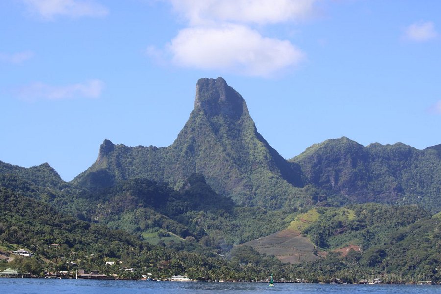 0261 IMG 2177 Moorea