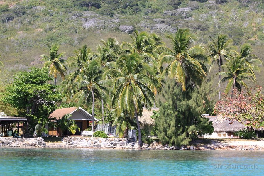 0265 IMG 2182 Moorea
