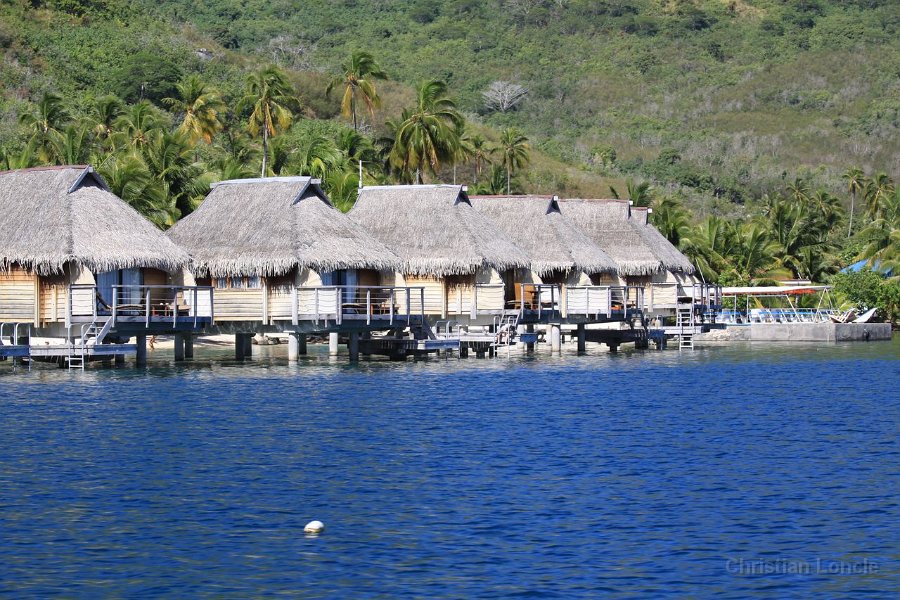 0269 IMG 2186 Moorea