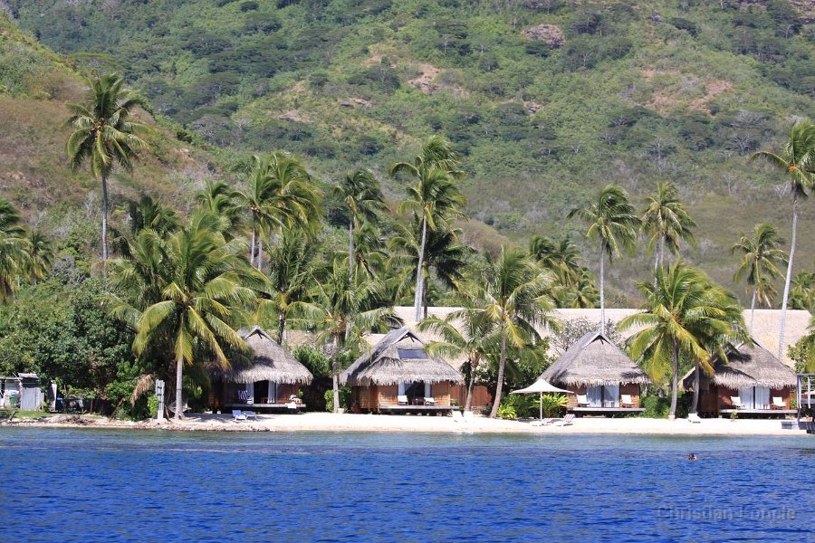 0270 IMG 2187 Moorea