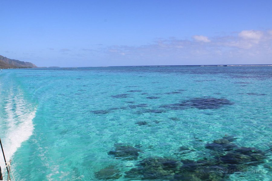 0273 IMG 2190 Moorea