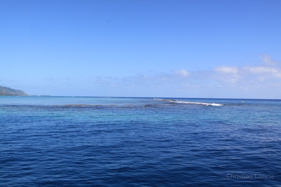 0274 IMG 2191 Moorea