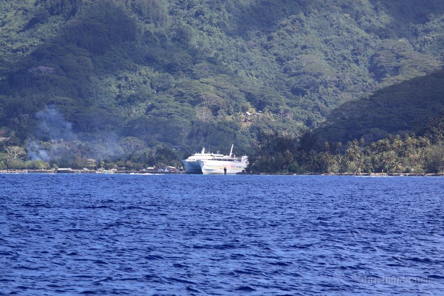 0277 IMG 2194 Moorea