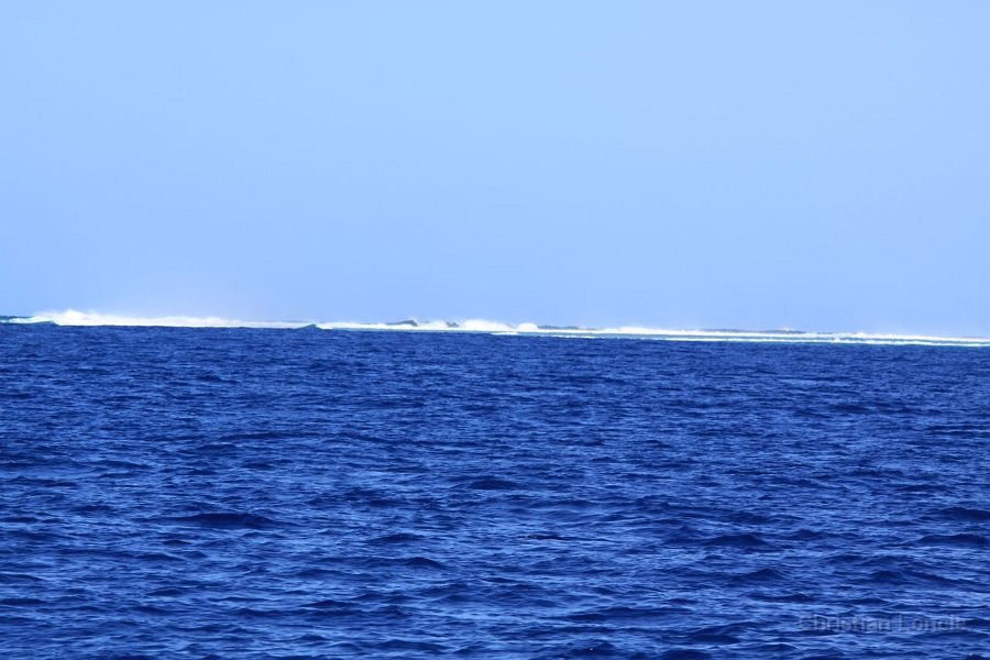 0278 IMG 2195 Moorea