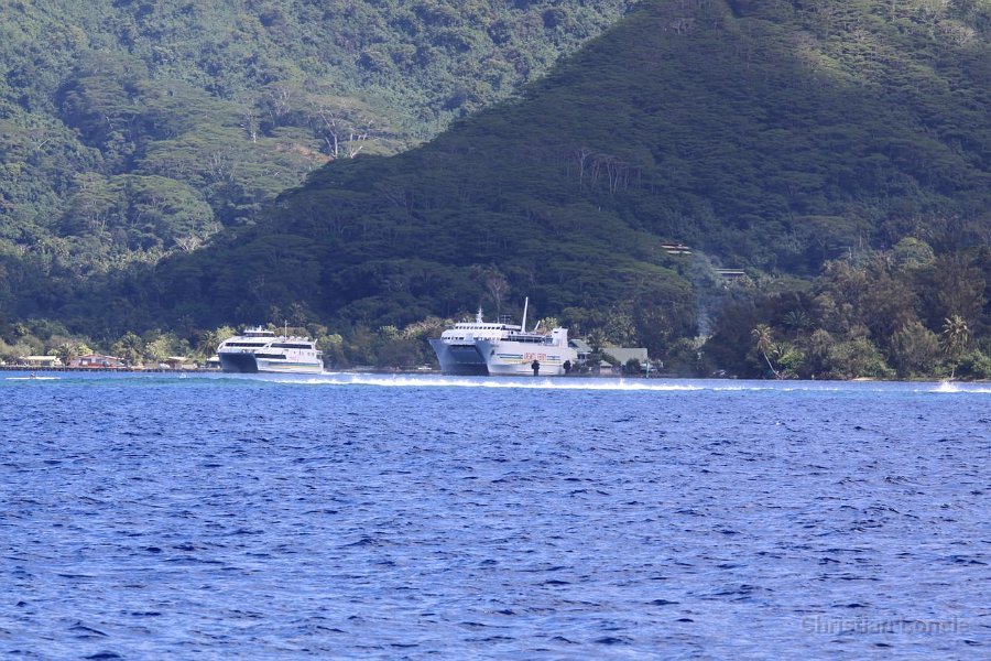 0279 IMG 2198 Moorea