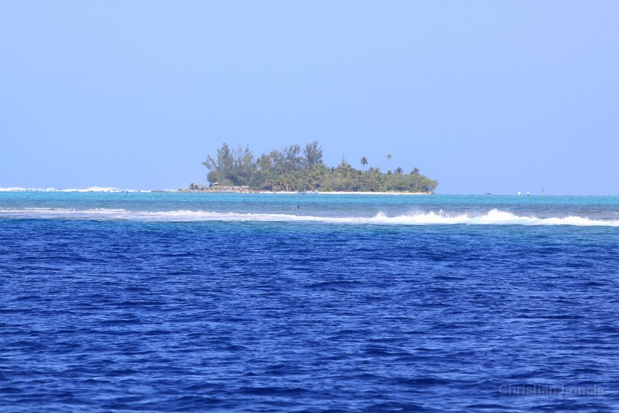 0282 IMG 2203 Moorea