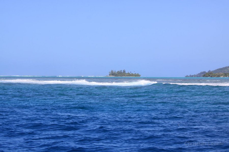 0283 IMG 2205 Moorea