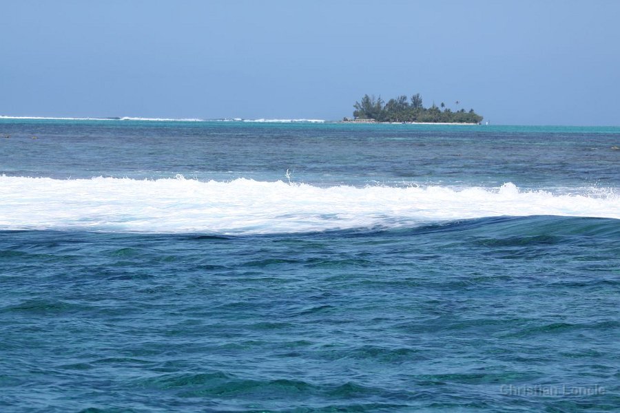 0285 IMG 2207 Moorea
