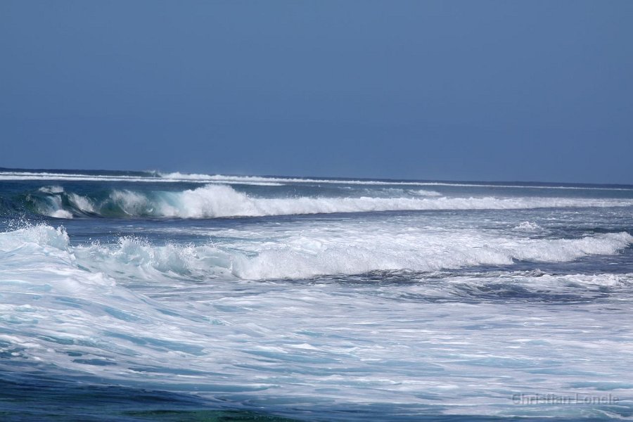 0287 IMG 2209 Moorea