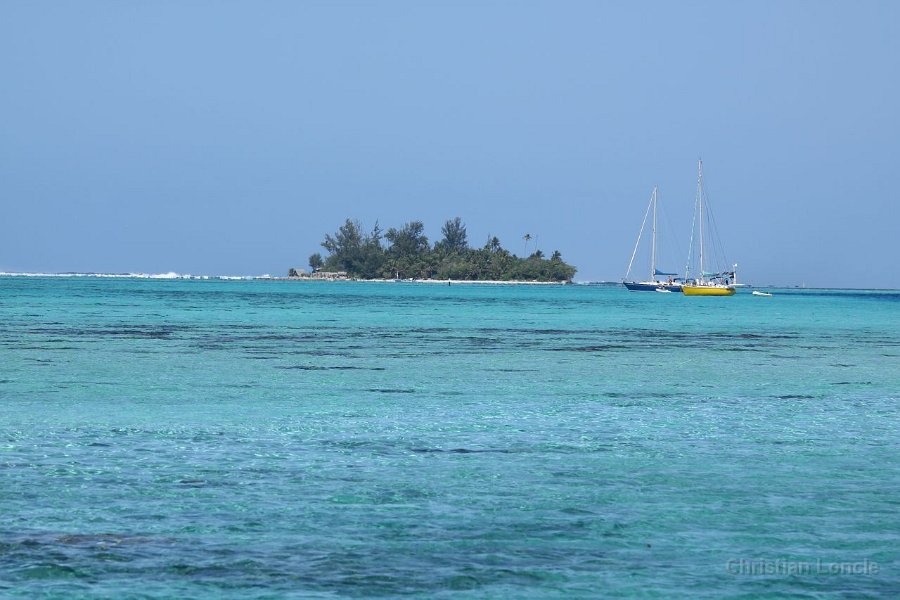 0292 IMG 2214 Moorea