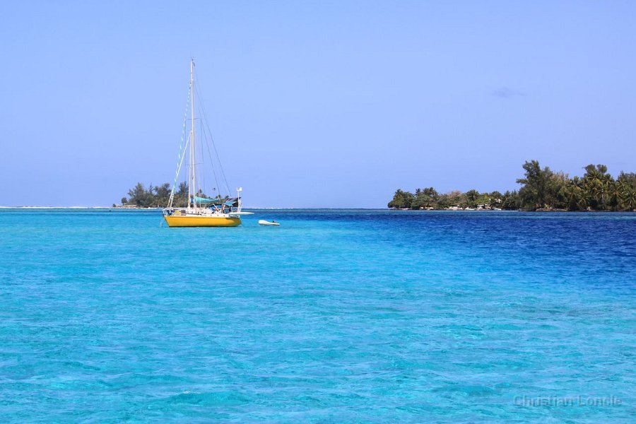 0295 IMG 2217 Moorea