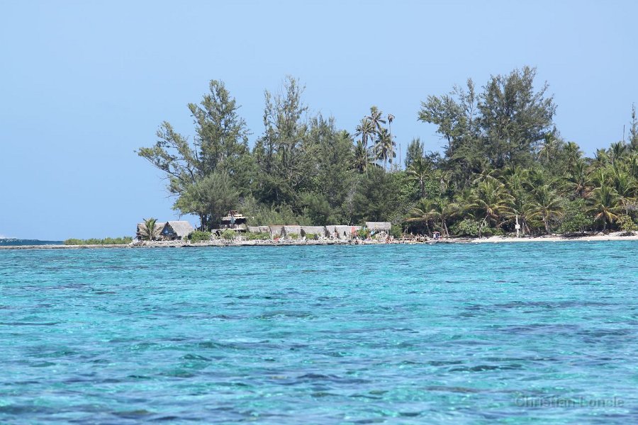 0300 IMG 2222 Moorea