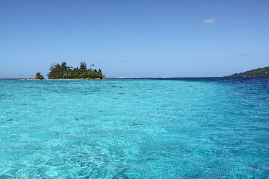 0302 IMG 2224 Moorea