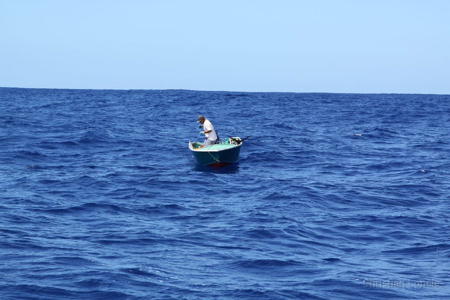 0308 IMG 2243 Moorea