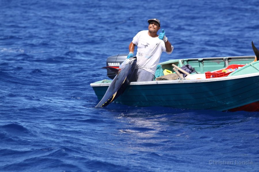 0309 IMG 2246 Moorea