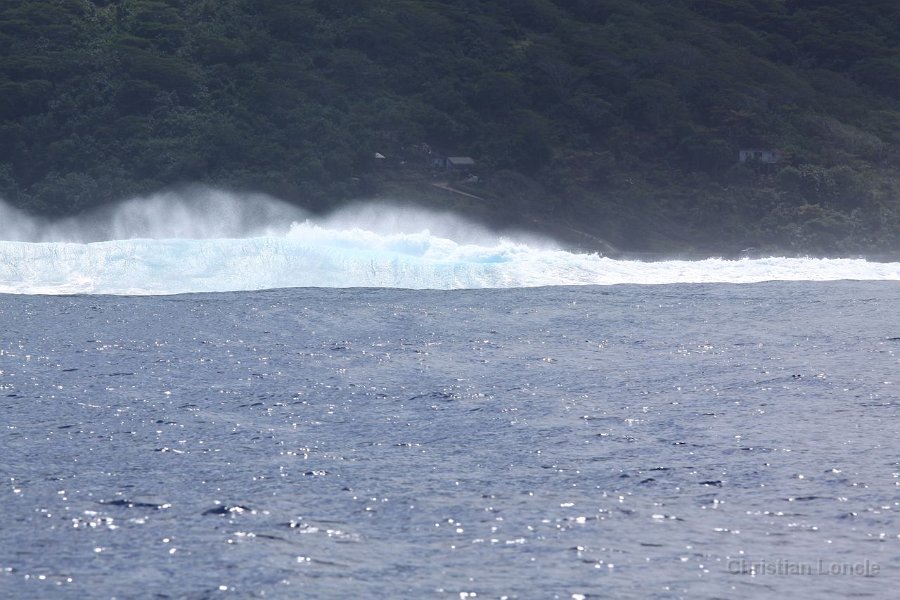 0312 IMG 2249 Moorea