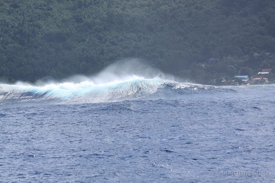 0314 IMG 2251 Moorea
