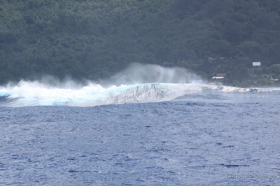 0315 IMG 2252 Moorea