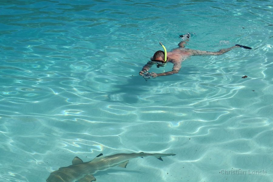 0323 IMG 2269 Moorea