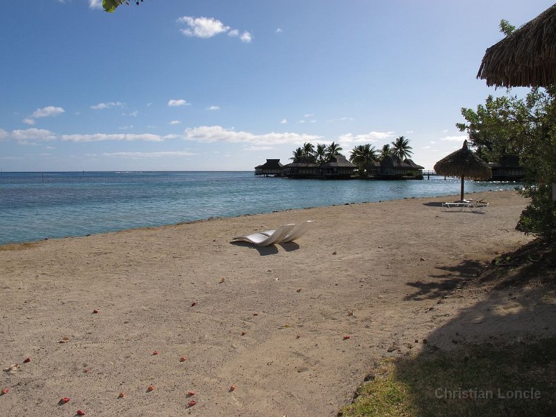 0337 IMG 1059 Moorea