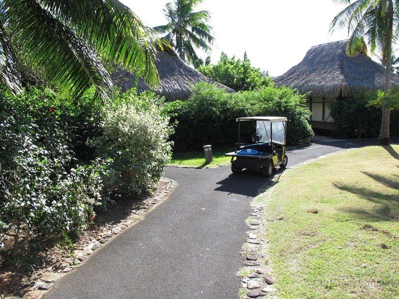 0340 IMG 1062 Moorea