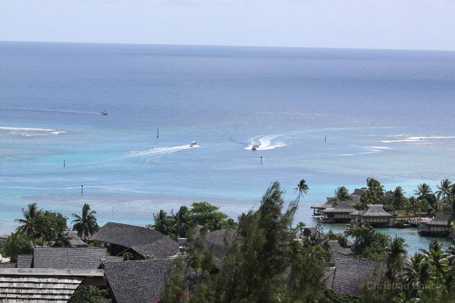 0352 IMG 2285 Moorea