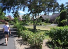 0037_IMG_1884_Moorea.JPG