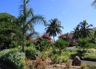 0043_IMG_1893_Moorea.JPG