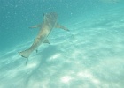 0057_IMG_0868_Moorea.JPG