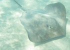 0062_IMG_0875_Moorea.JPG