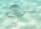 0063_IMG_0877_Moorea.JPG