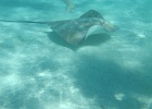 0064_IMG_0879_Moorea.JPG