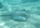 0066_IMG_0883_Moorea.JPG