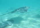 0067_IMG_0884_Moorea.JPG