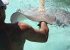 0096_IMG_1948_Moorea.JPG