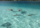 0103_IMG_1955_Moorea.JPG