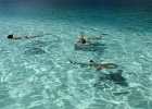 0104_IMG_1956_Moorea.JPG