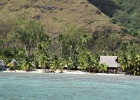 0107_IMG_1963_Moorea.JPG