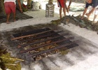 0119_IMG_1979_Moorea.JPG