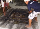0120_IMG_1980_Moorea.JPG
