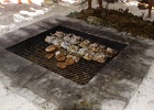 0121_IMG_1981_Moorea.JPG