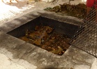 0123_IMG_1983_Moorea.JPG