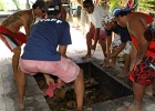 0124_IMG_1984_Moorea.JPG