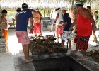 0125_IMG_1985_Moorea.JPG