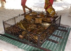 0126_IMG_1986_Moorea.JPG