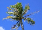 0130_IMG_1993_Moorea.JPG