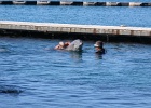 0188_IMG_2110_Moorea.JPG